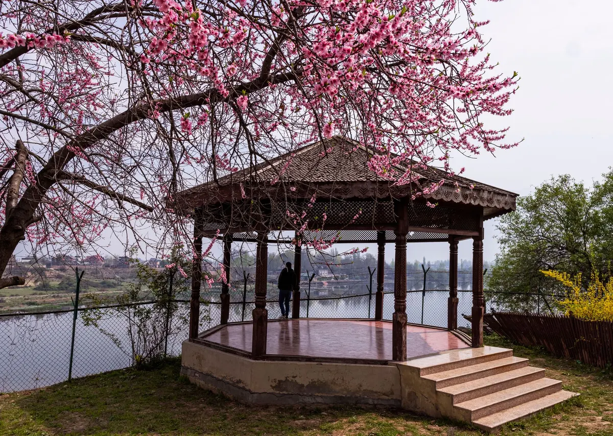 Seasonal Guide: Where to See Cherry Blossoms in London This Spring